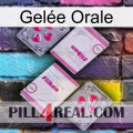 Gelée Orale 33